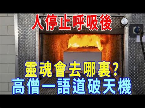 火化過程是否靈魂已跑走|殯儀館的火葬場火化過程/流程為何？親人火化至撿骨。